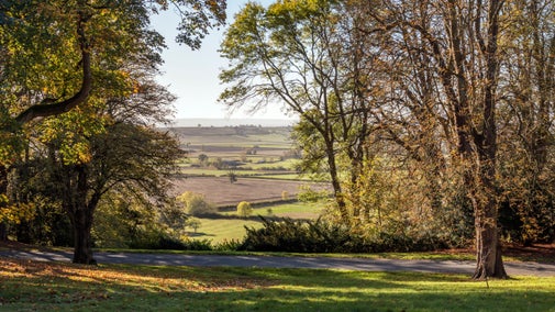 View from the estate at Waddesdon Manor, Buckinghamshire, looking out between trees to far-distant fields below